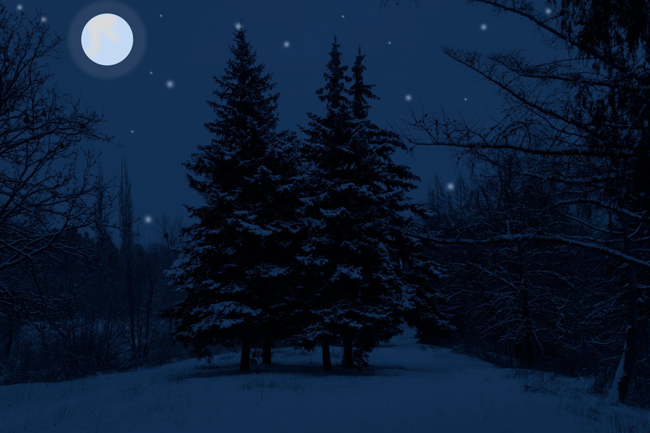 Winter night landscape.